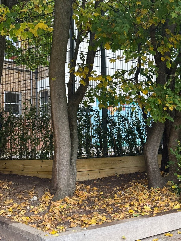 Ivy planters installed by Belstone Management Services